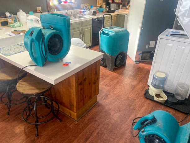 Best Residential water damage restoration  in Carrizo Springs, TX