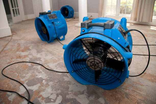 Best Professional water damage repair  in Carrizo Springs, TX