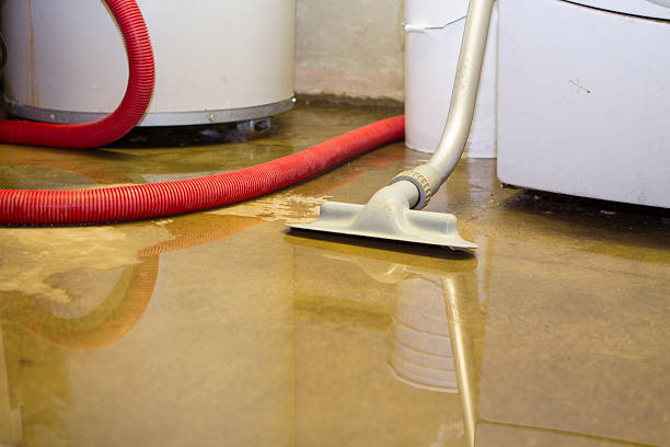 Best Water damage restoration cost  in Carrizo Springs, TX