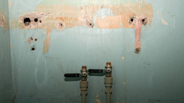 Best Sewage cleanup and water damage restoration  in Carrizo Springs, TX