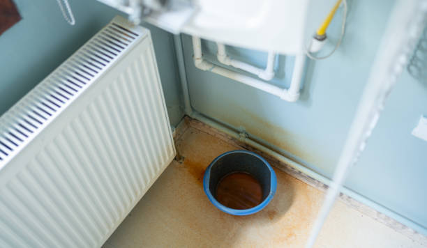 Reliable Carrizo Springs, TX Water damage restoration Solutions