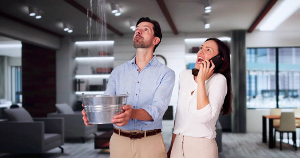  Carrizo Springs, TX Water damage restoration Pros